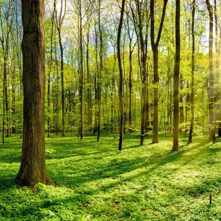 materiály šetrné k přírodě